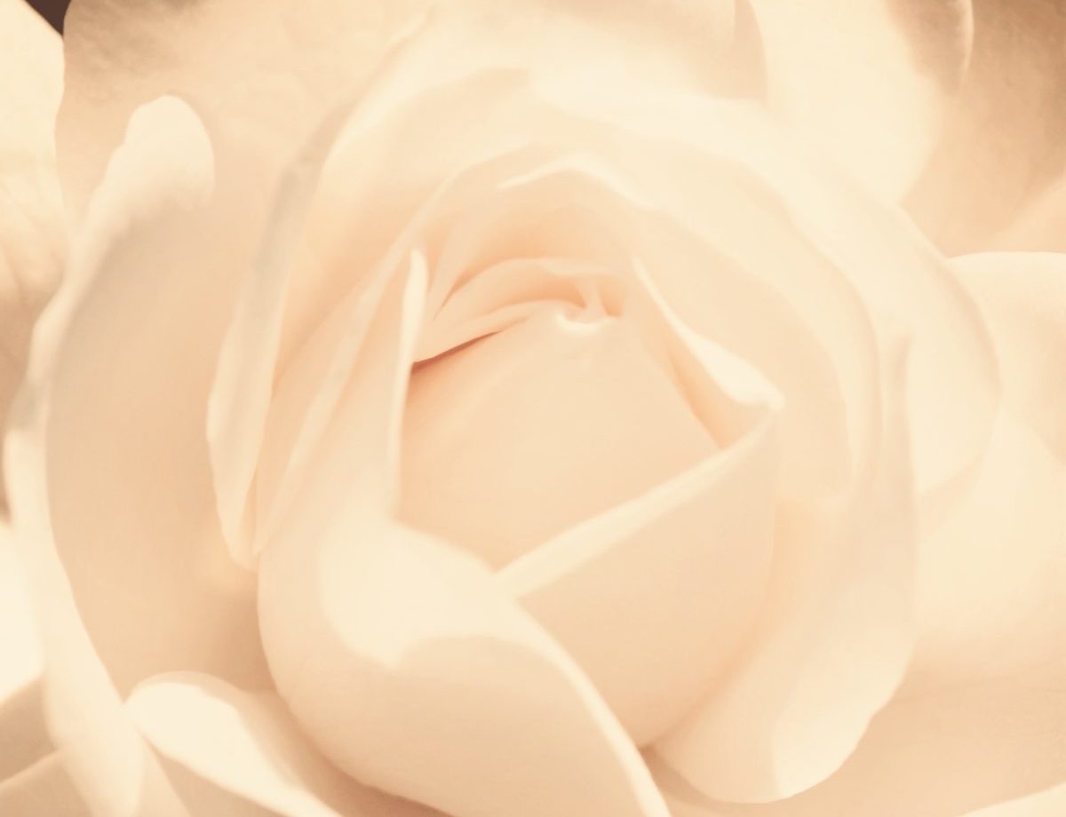 フェイシャルエステ