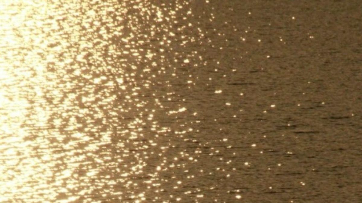 S-TREE 至福のひととき